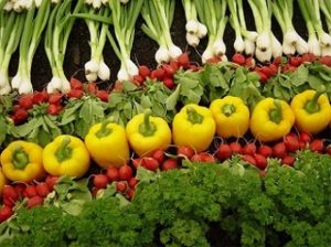 Tips Memilih Pasar Bisnis Bidang Pertanian