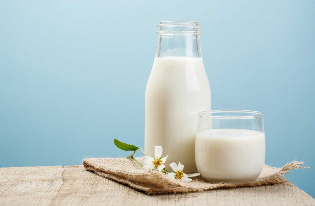 cara membuat susu dancow full cream